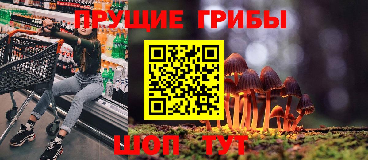 где купить наркотик  Вход с VPN  Галлюциногенные грибы Psilocybe  Ялуторовск  Галлюциногенные грибы Psilocybine cubensis 